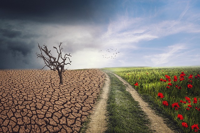 Klimahelt eller klimasynder? Teknologier der neutraliserer co2